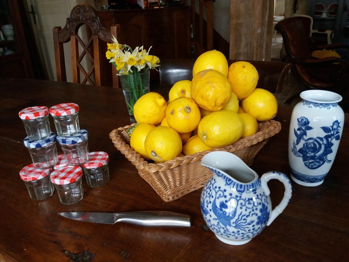 La Chaumiere Bed & Breakfast Ousson-sur-Loire Eksteriør bilde